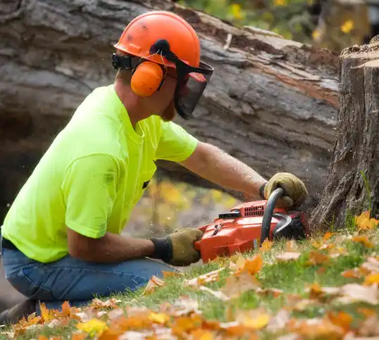 tree services Richton